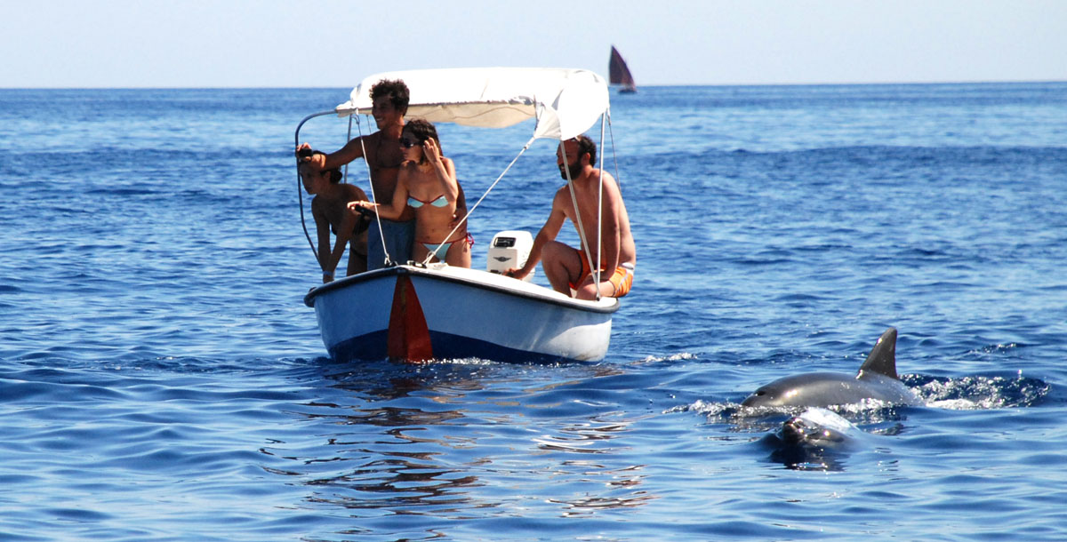 Isola di Capraia: Noleggio Barche e Gommoni. Delfini