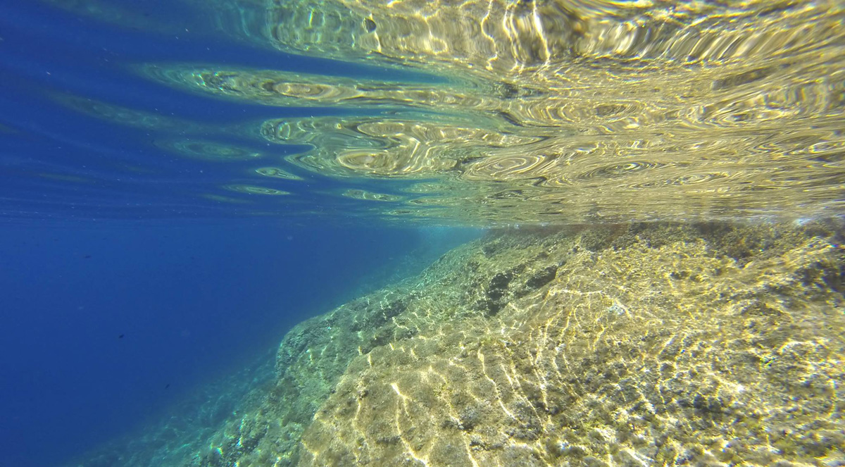 Isola di Capraia: Snorkeling
