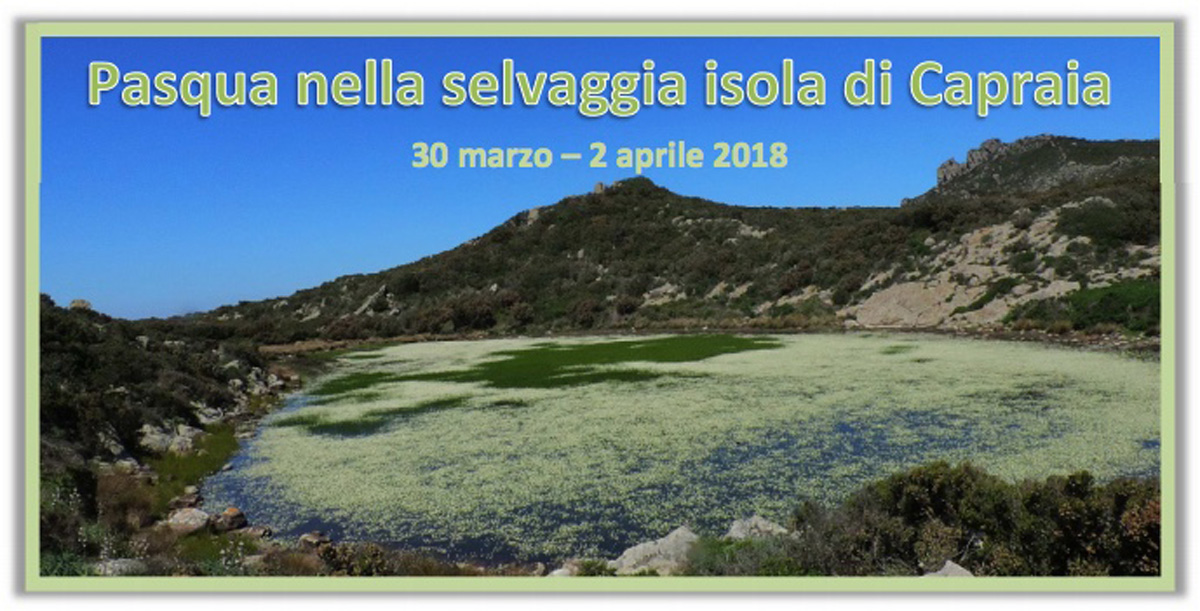 Isola di Capraia Isola di Capraia