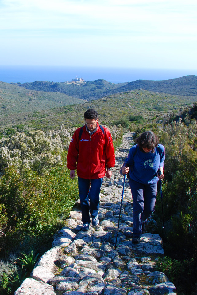 Isola di Capraia: Trekking