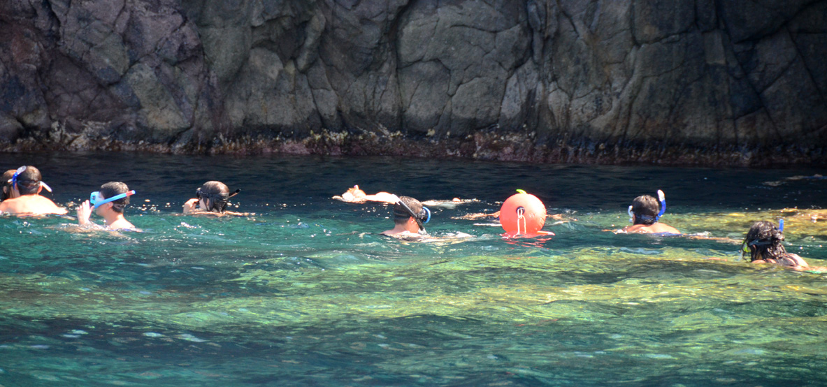Isola di Capraia: Snorkeling