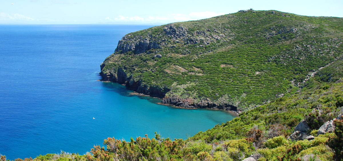 Isola di Capraia: La Teglia Isola di Capraia: La Teglia
