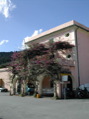Dscn0367