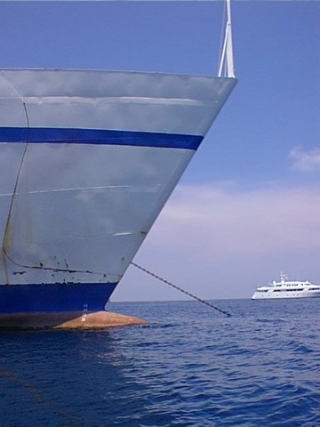 Loading Image