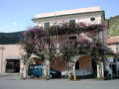 Dscn0368