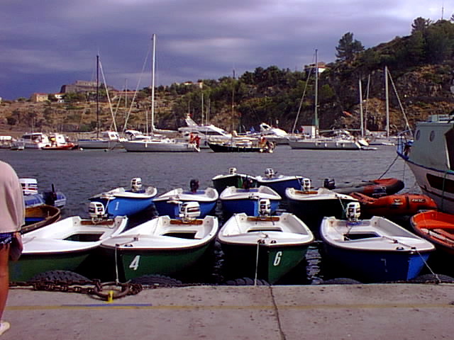 Loading Image