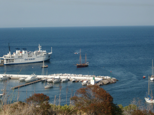 Loading Image