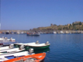 Margò con 23 a
