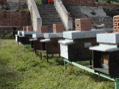 Dscn0722