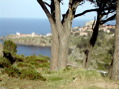 Dscn0915