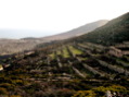 DSCN1886