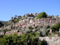 DSCN0407