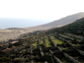DSCN1888