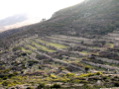 DSCN1890