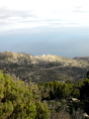 DSCN1851