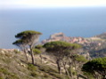 DSCN1893