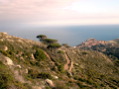 DSCN1892