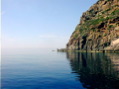 PIC00008