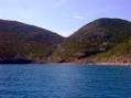 PIC00020