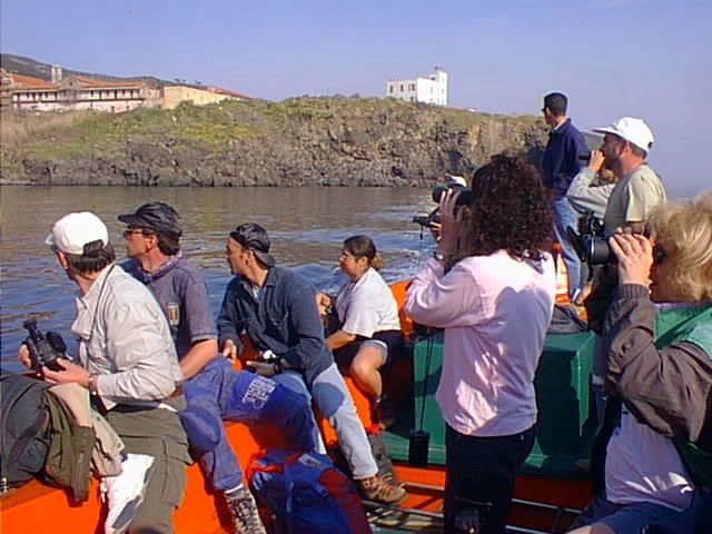 Loading Image