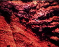 calarossa6