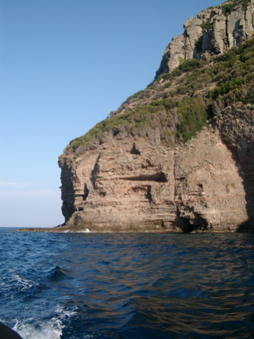 Loading Image