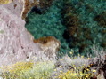 DSCN2812