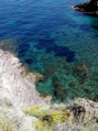 DSCN2809