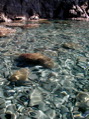 Dscn3116