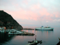 DSCN0218