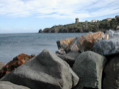 DSCN0311