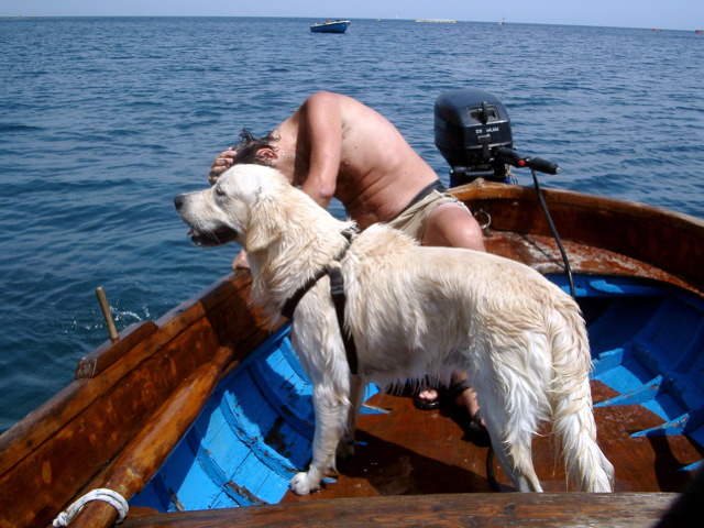 Loading Image