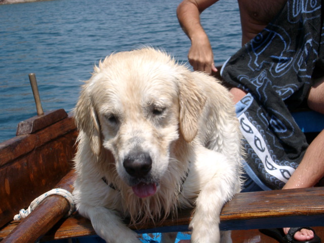 Loading Image