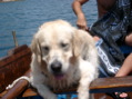 IMGP0529