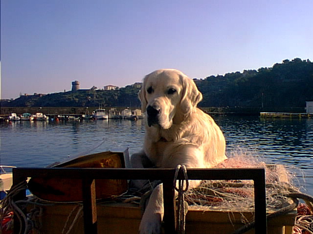 Loading Image