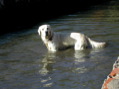 DSCN0565