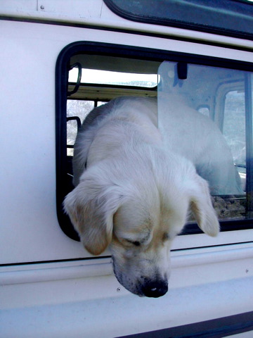 Loading Image