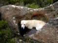DSCN3363