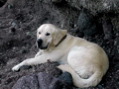 DSCN3383