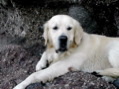 DSCN3384