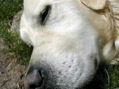 DSCN3518