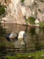 DSCN1847