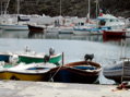 DSCN0057