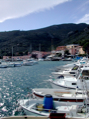 DSCN0306