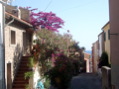 Imgp0418