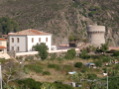 IMGP0498