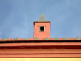 DSCN2100