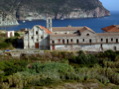 Imgp0499