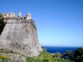 DSCN2485