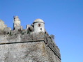 DSCN2483